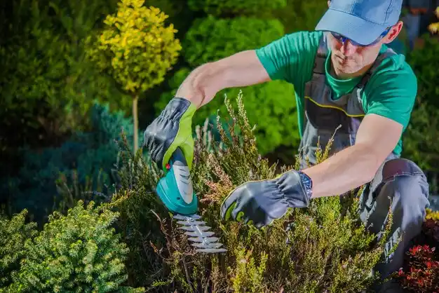 landscaping services Montour Falls